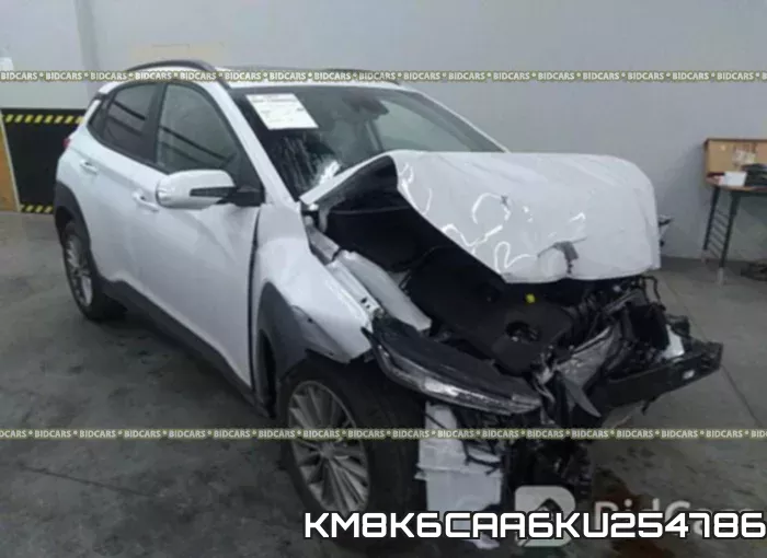 KM8K6CAA6KU254786_1.webp