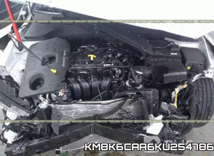 KM8K6CAA6KU254786_10.webp
