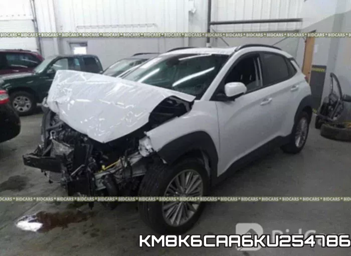 KM8K6CAA6KU254786_2.webp