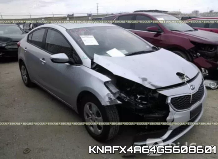 KNAFX4A64G5608601
