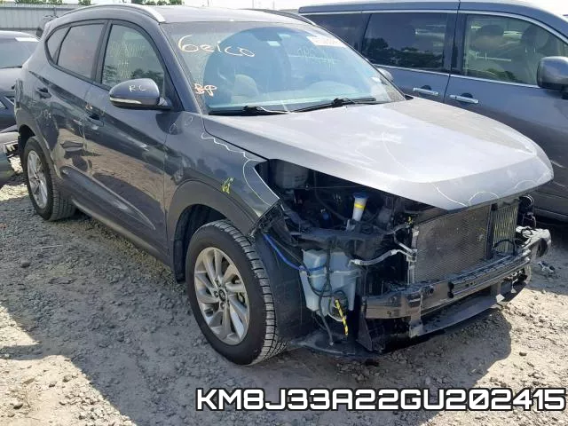 KM8J33A22GU202415