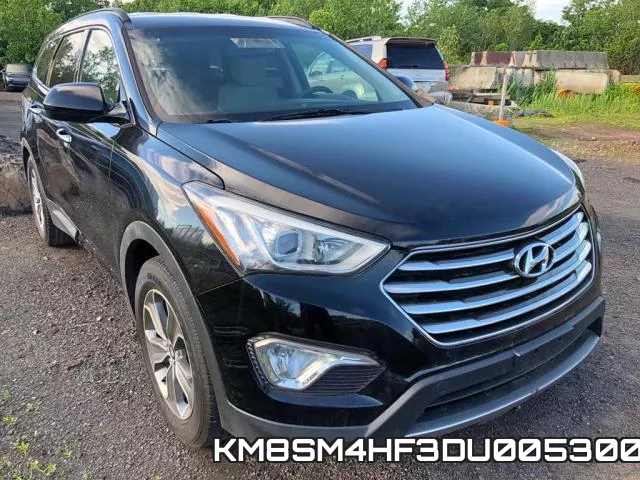 KM8SM4HF3DU005300