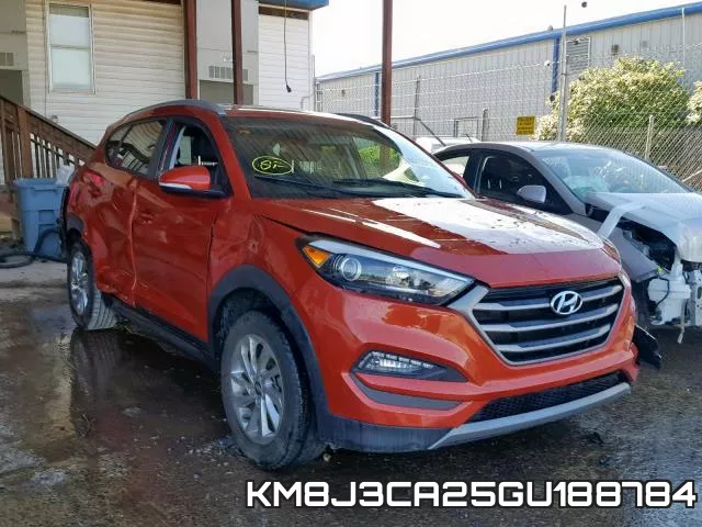 KM8J3CA25GU188784