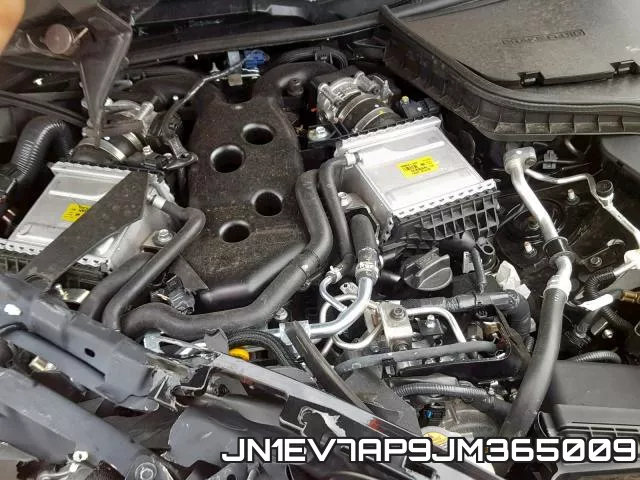 JN1EV7AP9JM365009_7.webp