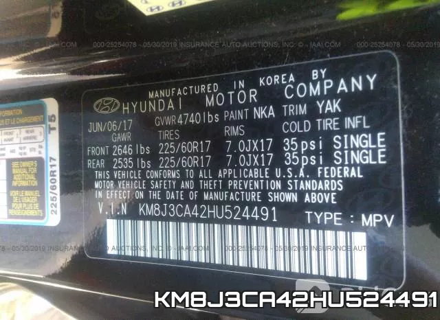 KM8J3CA42HU524491_9.webp