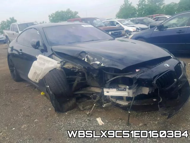 WBSLX9C51ED160384