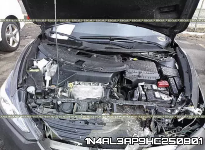 1N4AL3AP9HC250801_10.webp
