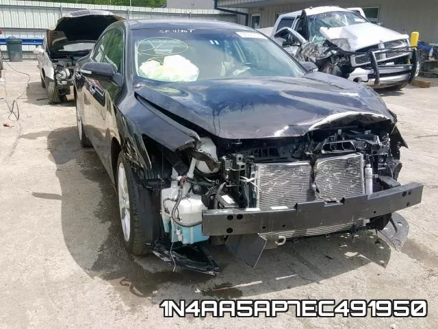 1N4AA5AP7EC491950
