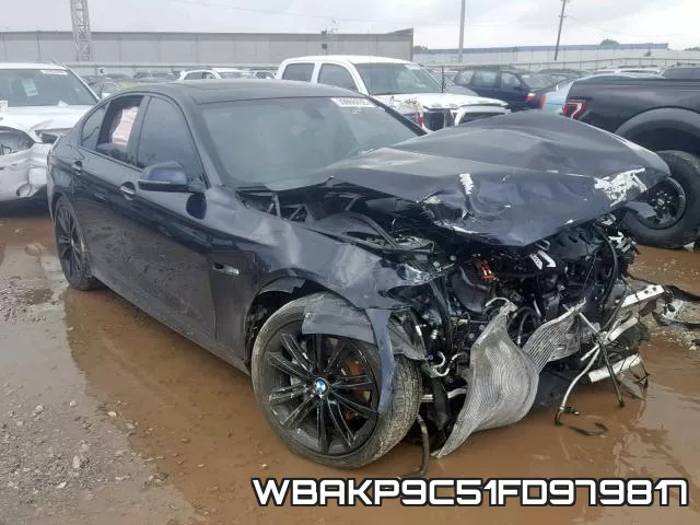WBAKP9C51FD979817