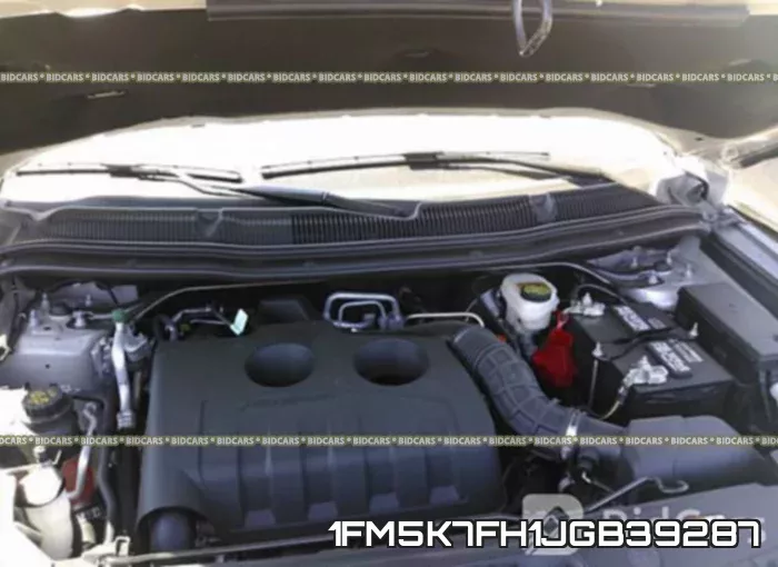 1FM5K7FH1JGB39287_10.webp