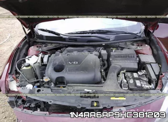 1N4AA6AP9HC381203_10.webp