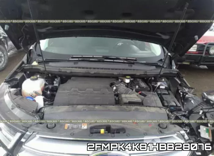 2FMPK4K81HBB28076_10.webp