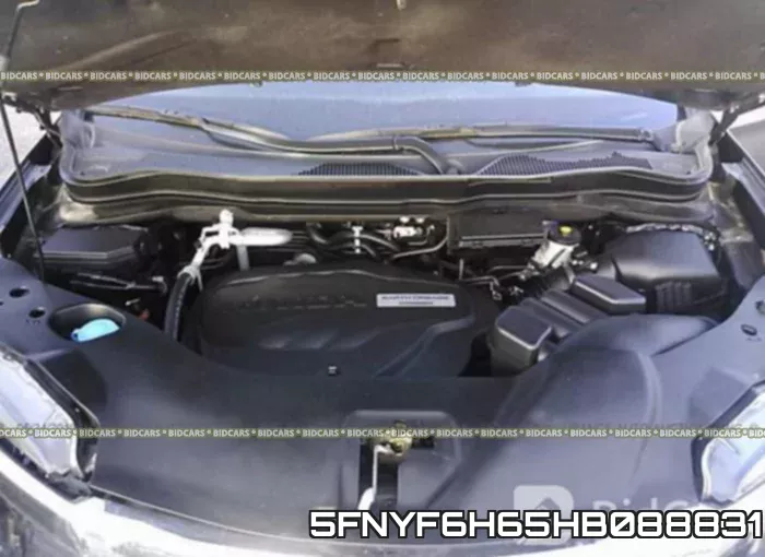 5FNYF6H65HB088831_10.webp