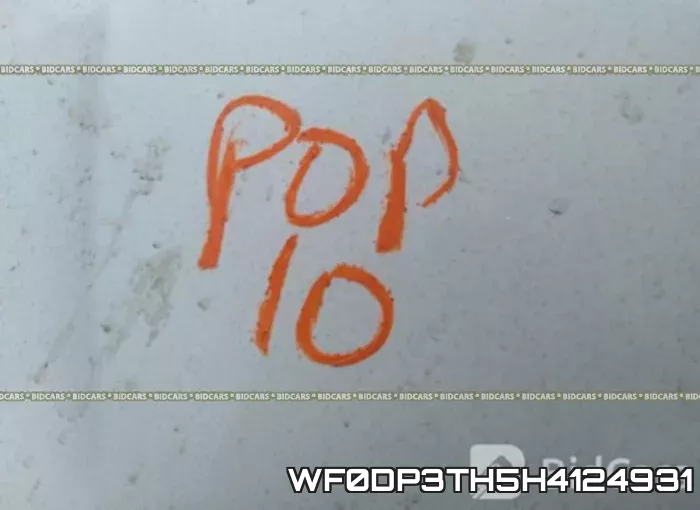 WF0DP3TH5H4124931_10.webp