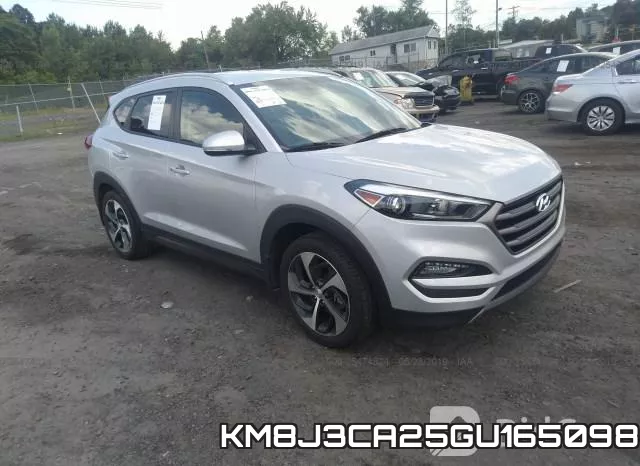 KM8J3CA25GU165098