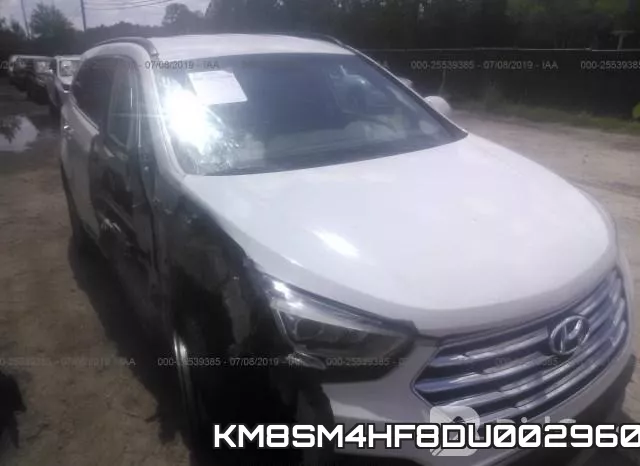 KM8SM4HF8DU002960