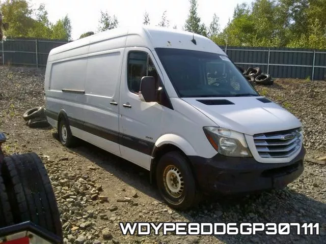 WDYPE8DD6GP307111