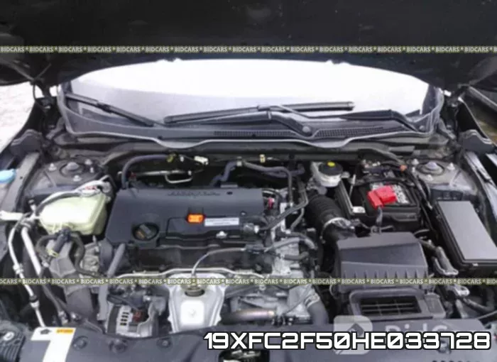 19XFC2F50HE033728_10.webp