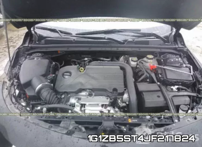 1G1ZB5ST4JF217824_10.webp