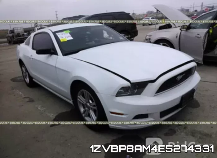 1ZVBP8AM4E5274331