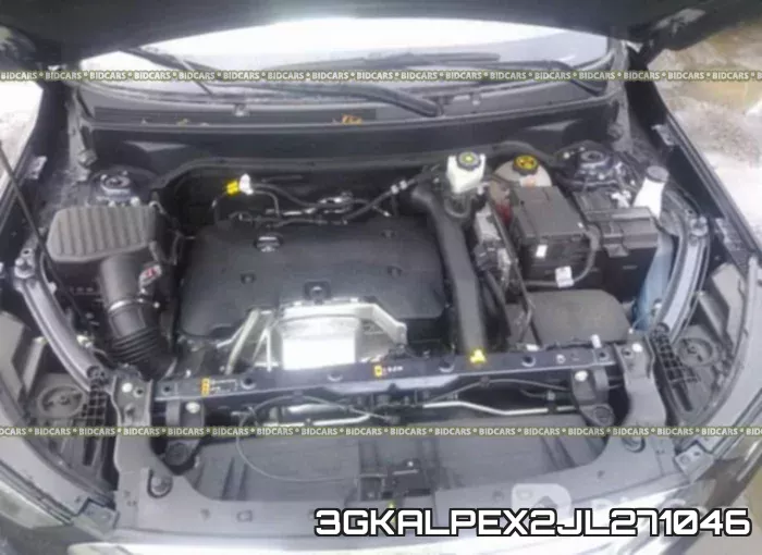 3GKALPEX2JL271046_10.webp