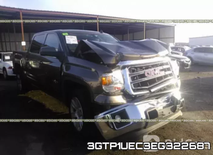 3GTP1UEC3EG322687