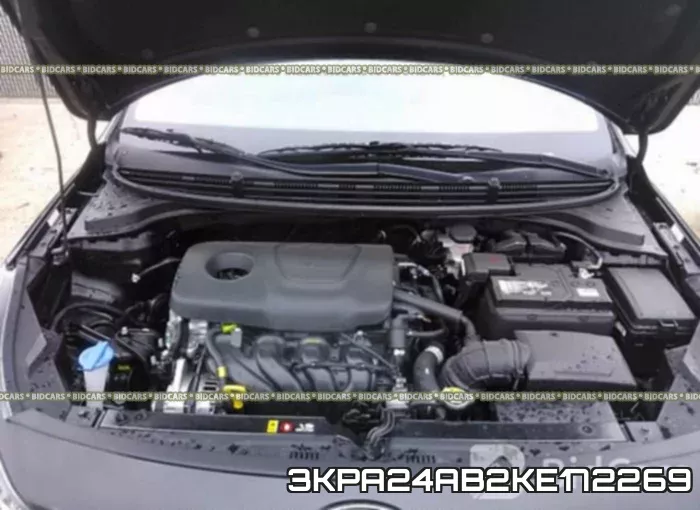 3KPA24AB2KE172269_10.webp