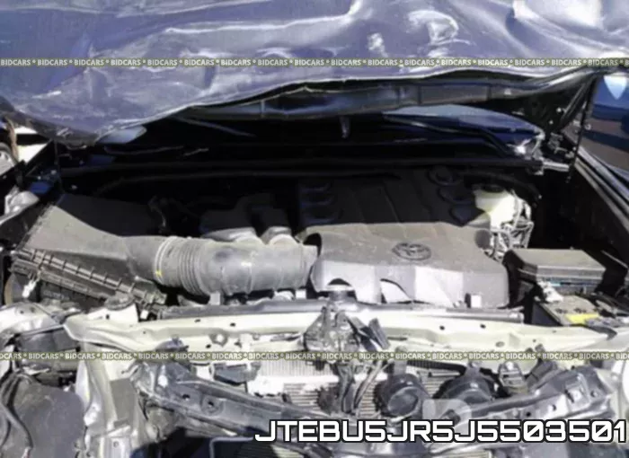 JTEBU5JR5J5503501_10.webp
