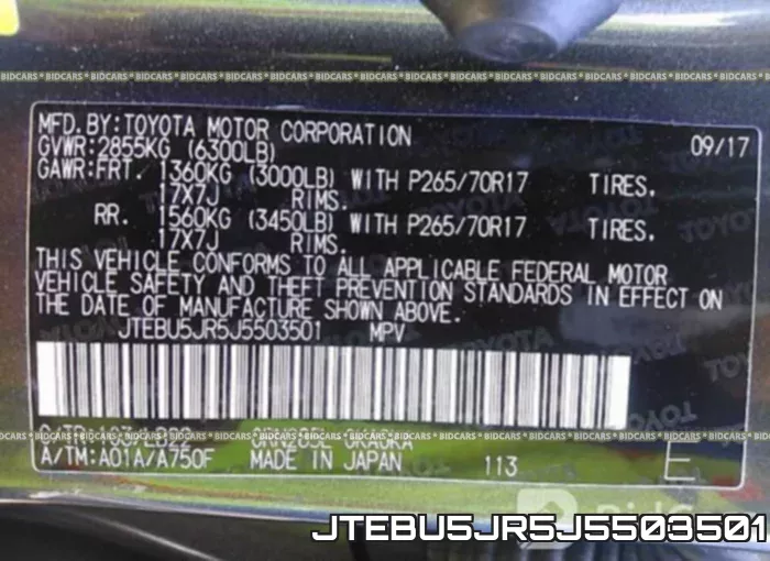 JTEBU5JR5J5503501_9.webp