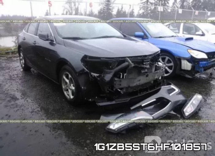 1G1ZB5ST6HF101857_1.webp
