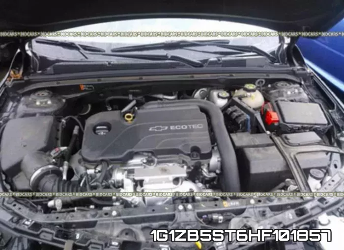1G1ZB5ST6HF101857_10.webp