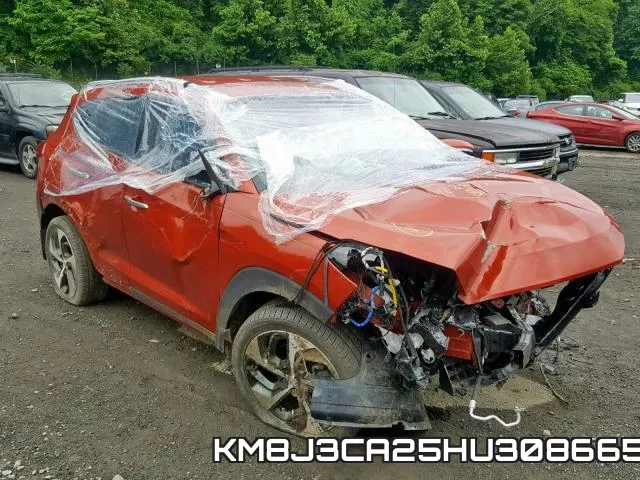 KM8J3CA25HU308665_1.webp
