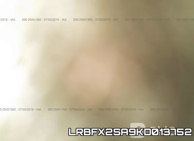 LRBFX2SA9KD013752_5.webp
