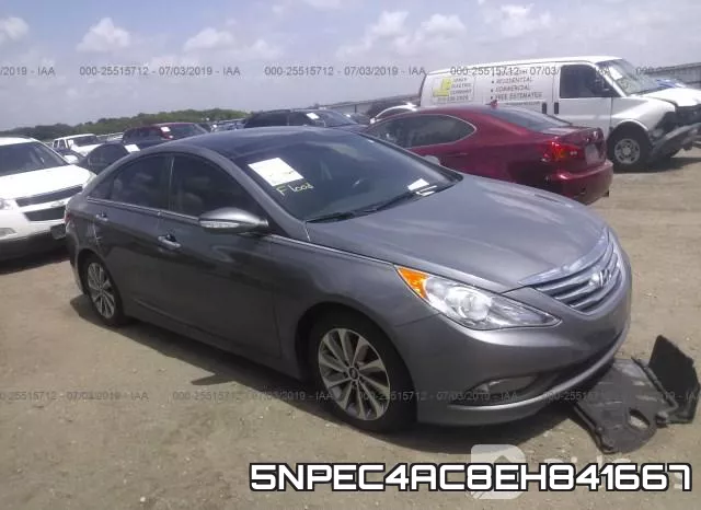 5NPEC4AC8EH841667