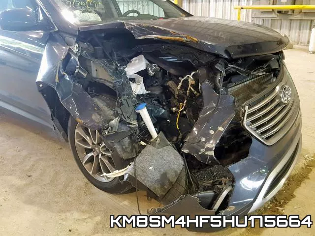 KM8SM4HF5HU175664_9.webp