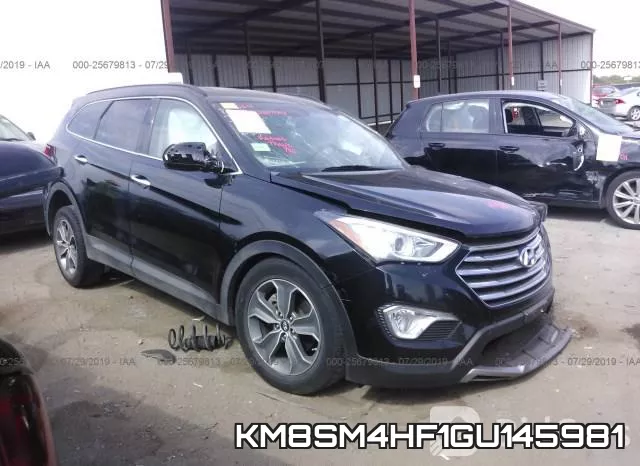 KM8SM4HF1GU145981