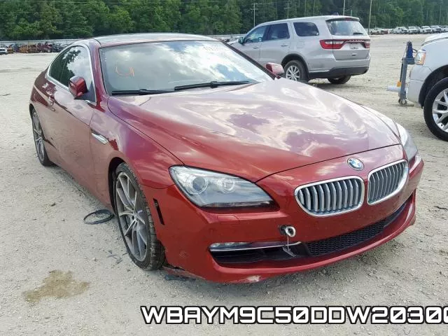 WBAYM9C50DDW20300