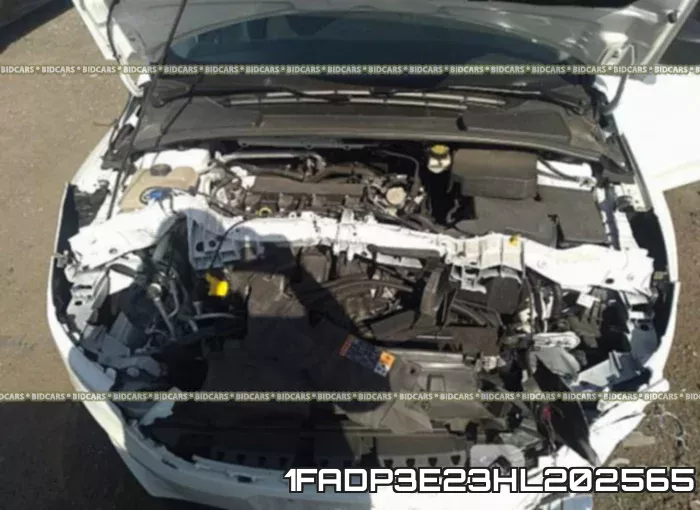 1FADP3E23HL202565_10.webp
