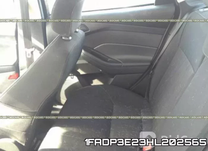 1FADP3E23HL202565_8.webp