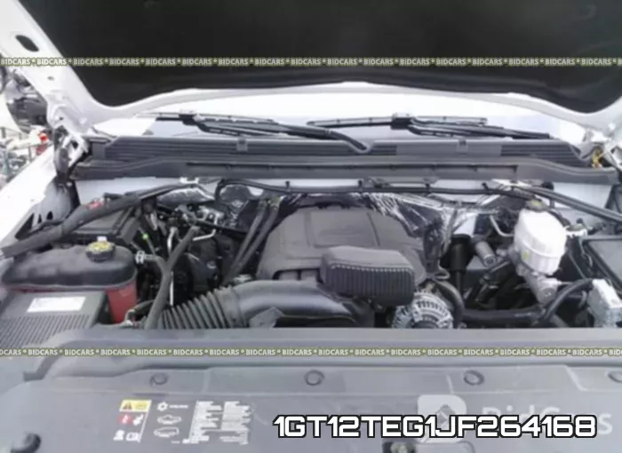 1GT12TEG1JF264168_10.webp