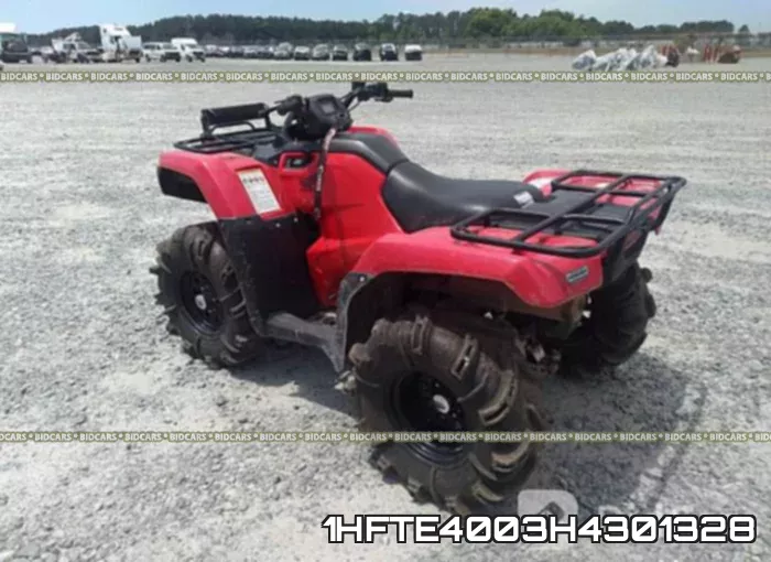 1HFTE4003H4301328_3.webp