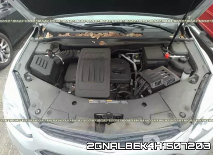 2GNALBEK4H1507203_10.webp