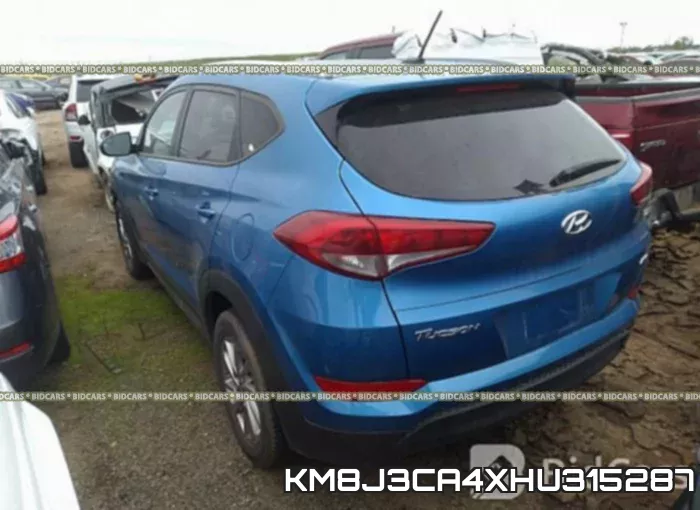 KM8J3CA4XHU315287_3.webp