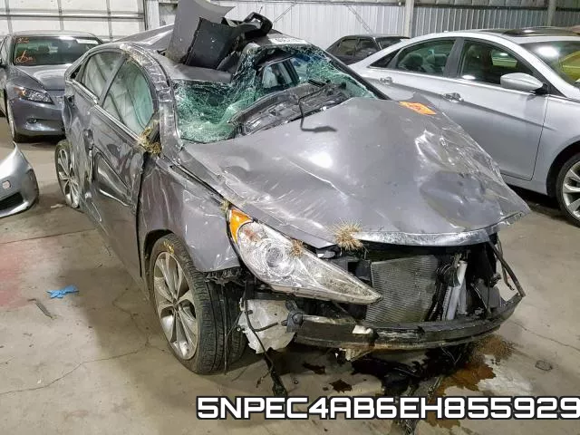 5NPEC4AB6EH855929