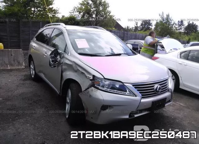 2T2BK1BA9EC250487