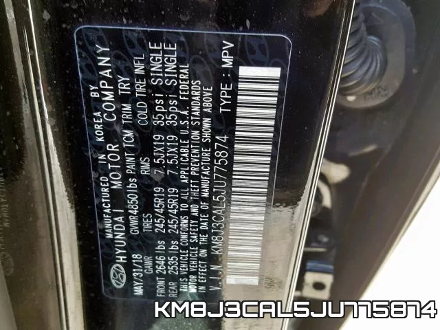KM8J3CAL5JU775874_10.webp