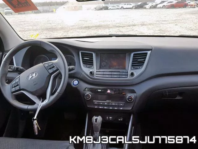 KM8J3CAL5JU775874_9.webp