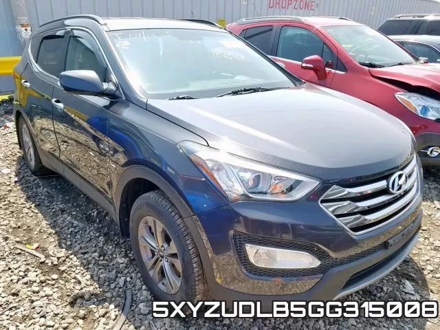5XYZUDLB5GG315008