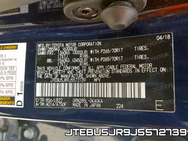 JTEBU5JR9J5572739_10.webp