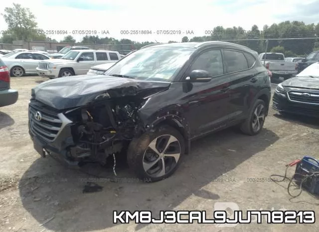 KM8J3CAL9JU778213_2.webp